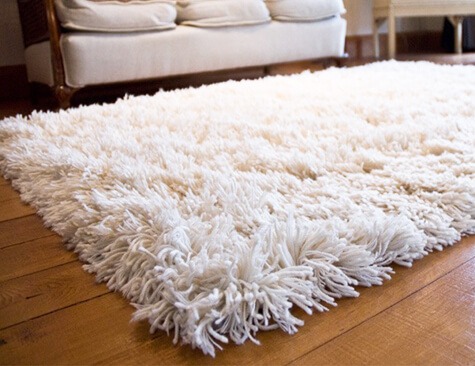 Shag Rug Cleaning