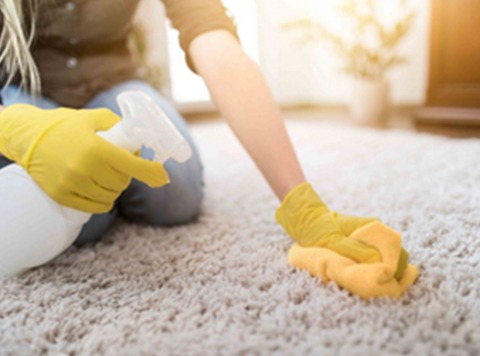 Stain Removal- Part of Rug Cleaning