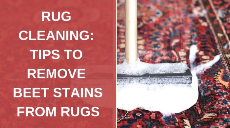 rug cleaning tips