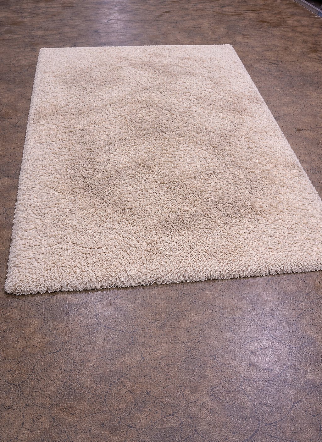 A cream wool shag rug at intake — soiled and matted before cleaning.