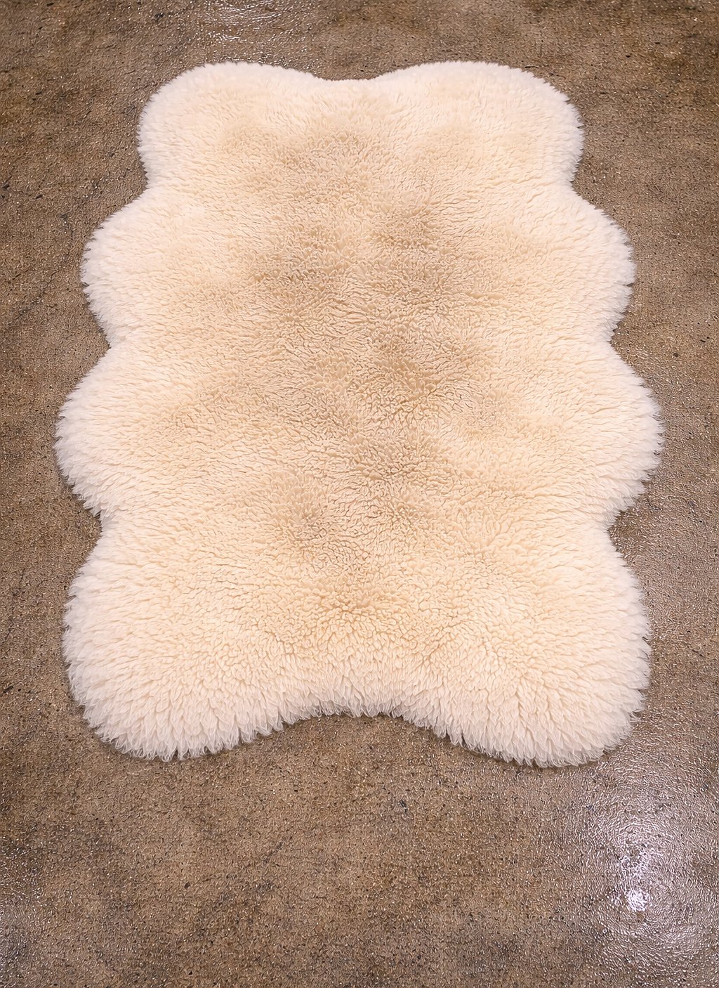 A cream sheepskin quad-pelt rug at intake — pile dulled before cleaning.